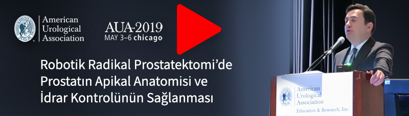 aua 2019 blog